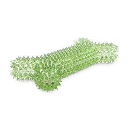 All Day Spiny Bone With Squeaker Dog Toy Assorted