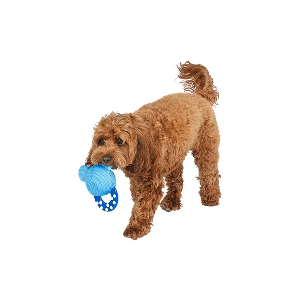 All Day Bear Teething Ring Puppy Toy Blue L