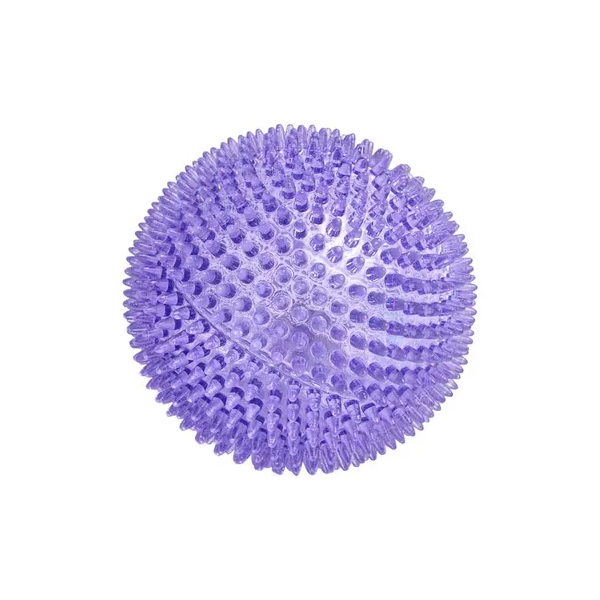 All Day Bouncing Spiny Ball Dog Toy Asssorted 11cm