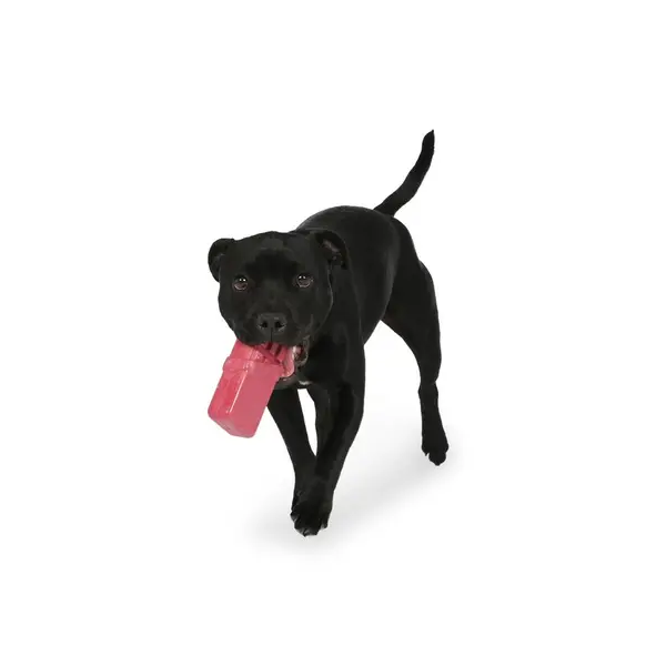 All Day Chicken Rubber Chocolate Bar Dog Toy