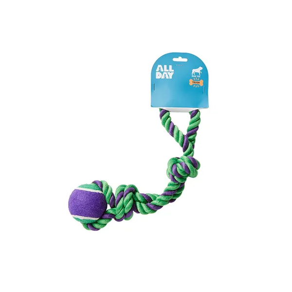 All Day Fetch Ball With Rope Tug Dog Toy 21cm