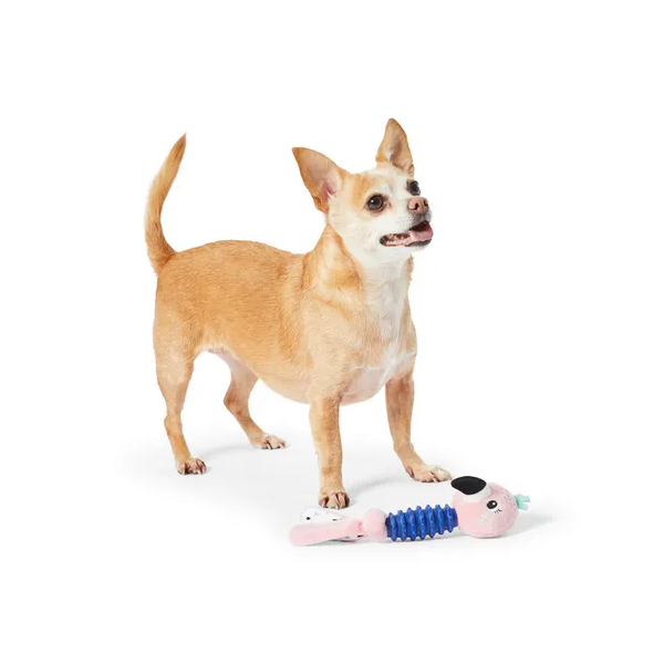 All Day Flamingo Chew Puppy Toy
