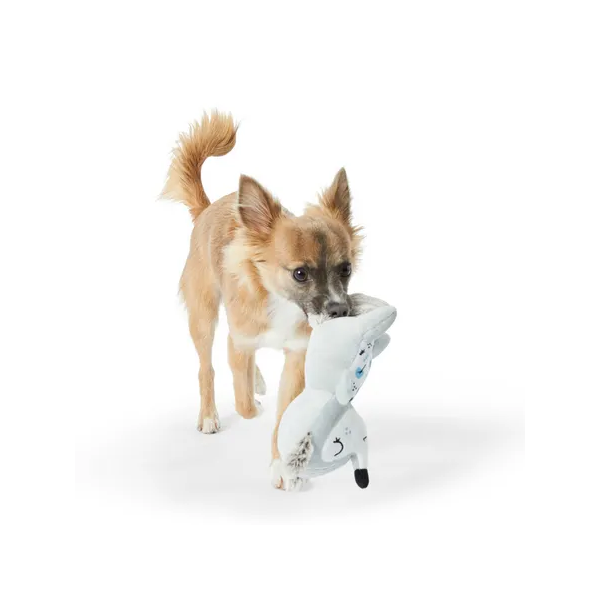 All Day Fox Puppy Toy Assorted