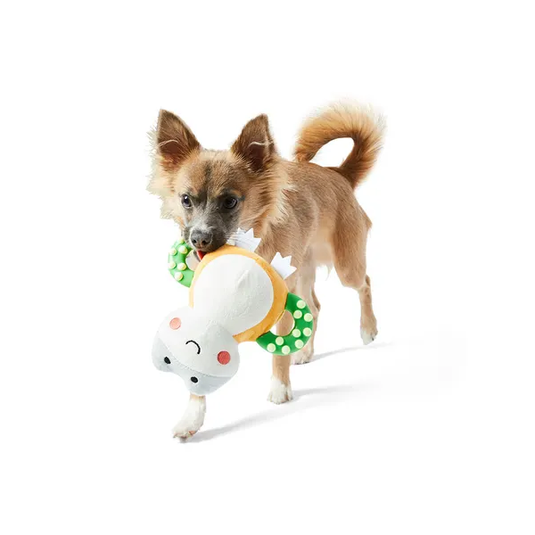 All Day Frog Wing Teething Puppy Toy