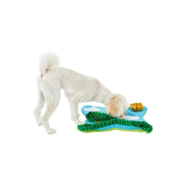 All Day Garden Snuffle Mat Dog Toyx2