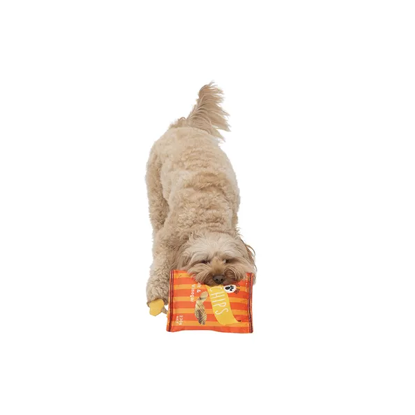 All Day Good Dog Plush Salt & Vinegar Chips Dog Toy