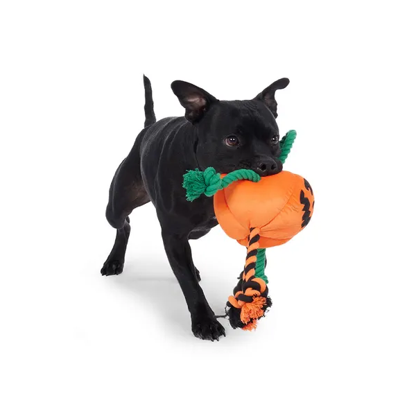 All Day Halloween Jack-O-Lantern Plush Rope Dog Toy