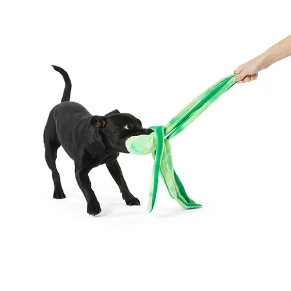 All Day Plush Octopus Dog Toy Green L