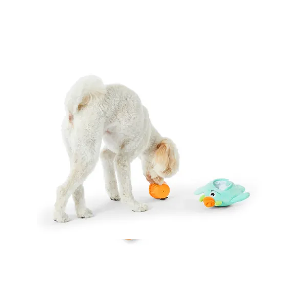 All Day Surprise Monster Cupcake Chicken Dog Toy Blue Orange