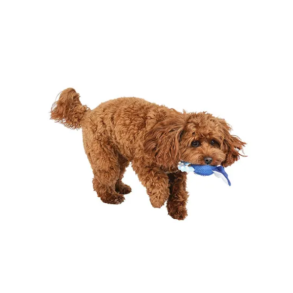 All Day Teething Ring Puppy Toy Assorted S