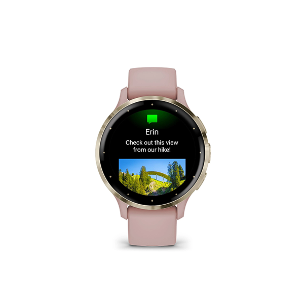 Garmin Venu 3S Sports Watch (Dust Rose/Soft Gold)