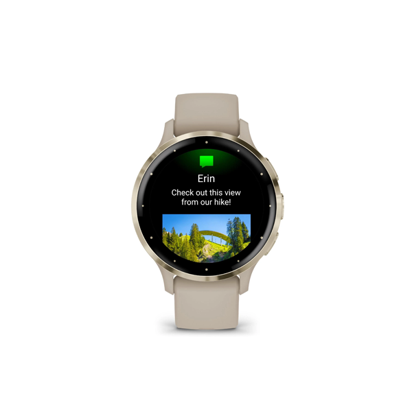 Garmin Venu 3S Sports Watch (French Grey/Soft Gold)