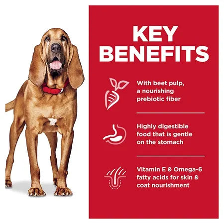 Hill's Science Diet Large Breed Sensitive Stomach & Skin Dog Food 13.6kg