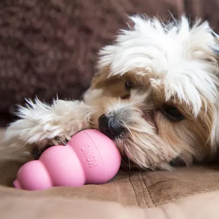 KONG Puppy Toy Assorted L x 2