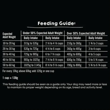 Leaps & Bounds Chicken Large Breed Puppy Food 18kg