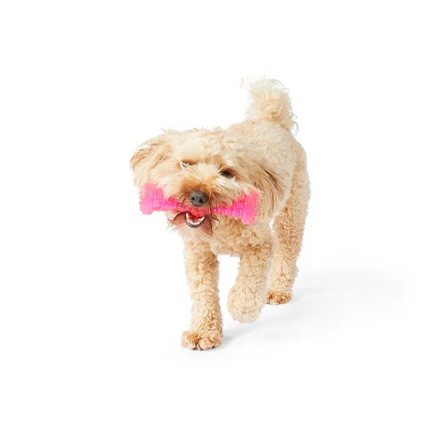 Mix Or Match 12 TPR Dumbell Dog Toy Assorted