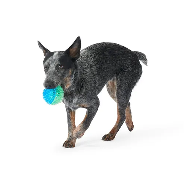 Mix Or Match 12 TPR Spiky Ball Two Tone Dog Toy Assorted