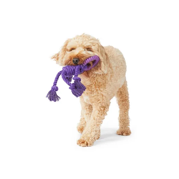 Mix Or Match 20 Rope Body wTPR Ring Head Dog Toy Asst 30cm