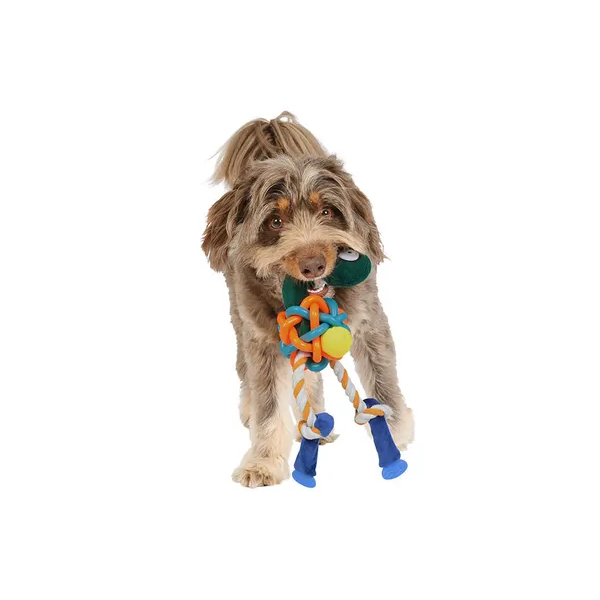 Mix Or Match 30 Bird With TPR Knot Body Dog Toy