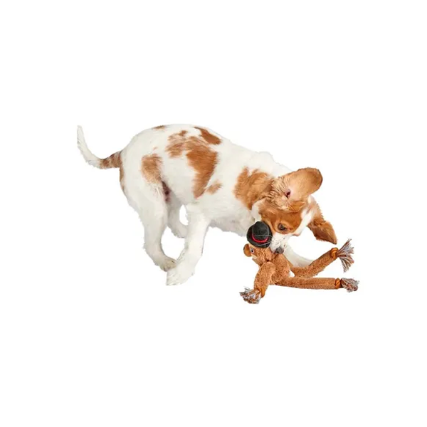 Mix Or Match 30 Plush Monkey With Hat Dog Toy 41cm