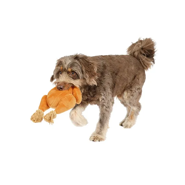 Mix Or Match 30 Roast Chicken Dog Toy