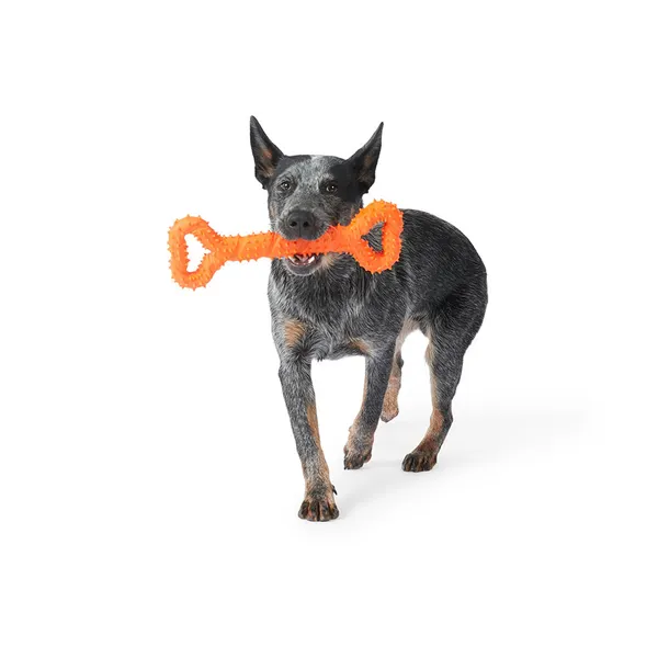 Mix Or Match 30 TPR Spiky Tug Double Handle Dog Toy Asst