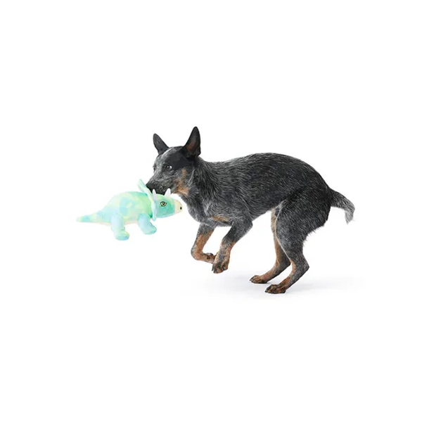 Mix Or Match 30 Tough Dinosaur Dog Toy Assorted 40cm