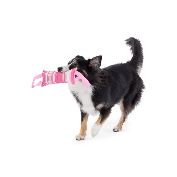 Mix Or Match Strip Stick Pull Dog Toy