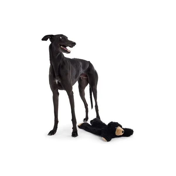 Mix or Match 30 Bear Plush Dog Blanket Black 56cm