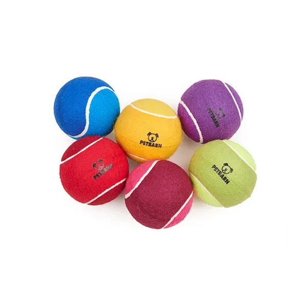 Petbarn Tennis Ball Dog Toy Purple Large