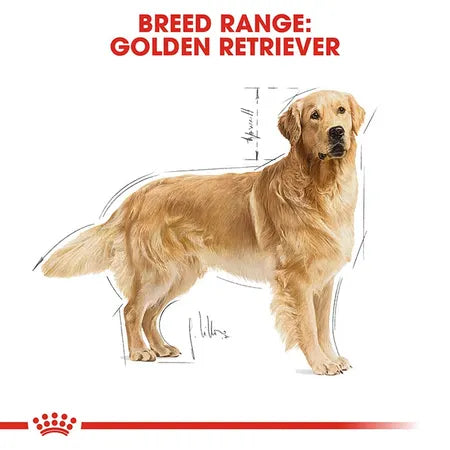 Royal Canin Golden Retriever Adult Dog Food 12kgx2