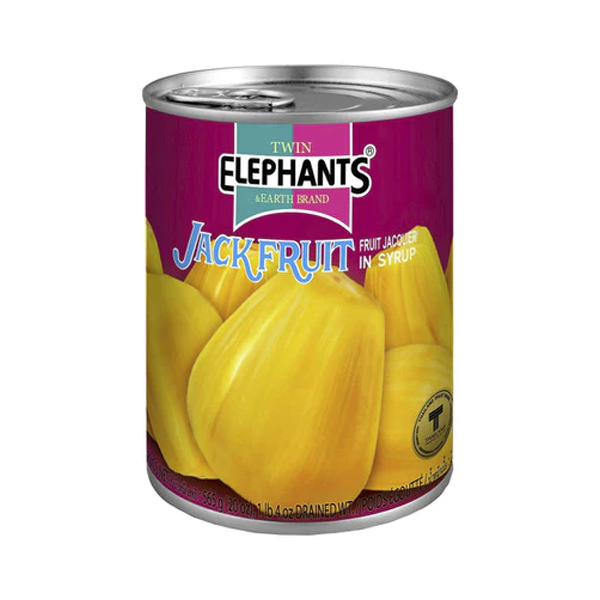 Twin Elephants Jackfruit In Syrup | 565g