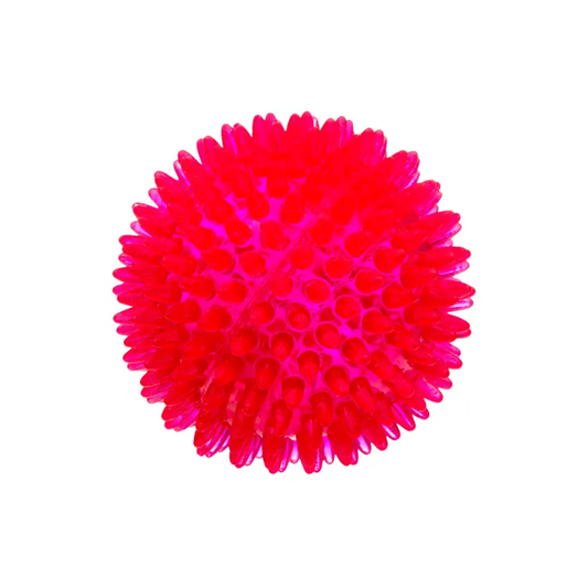 All Day Bouncing Spiny Ball Dog Toy Assorted 8cm