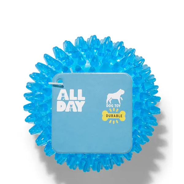 All Day Bouncing Spiny Ball Dog Toy Assorted 8cm