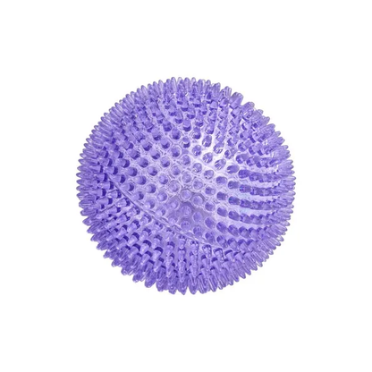 All Day Bouncing Spiny Ball Dog Toy Asssorted 11cm