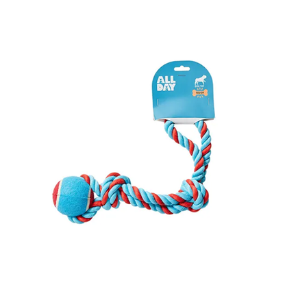 All Day Fetch Ball With Rope Tug Dog Toy 21cm