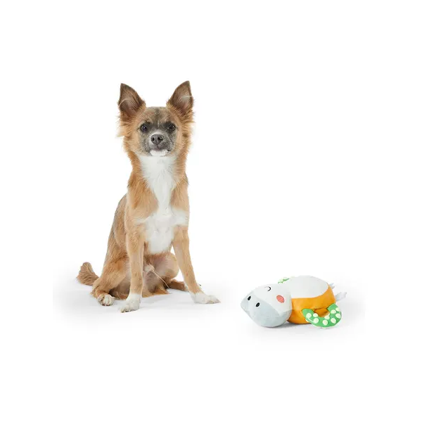 All Day Frog Wing Teething Puppy Toy