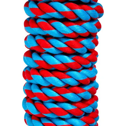 All Day Lizard Rope Dog Toy Blue Red 25cm
