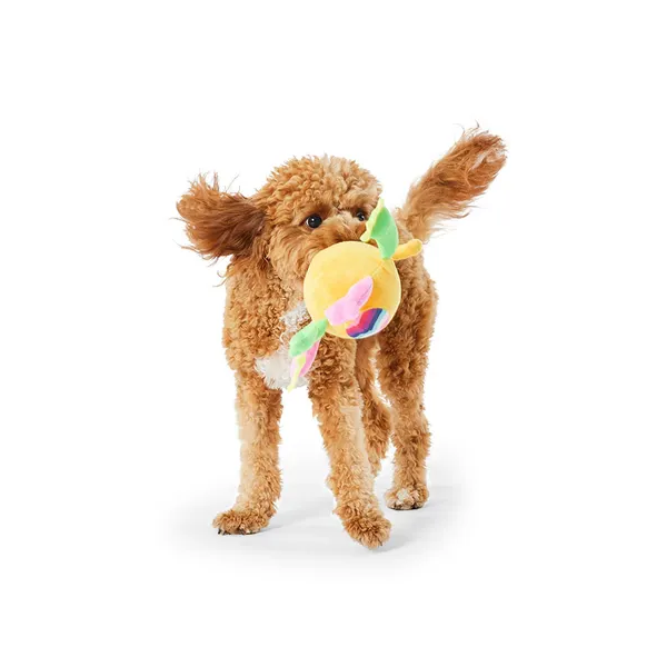All Day Monster Ball Dog Toy Assorted