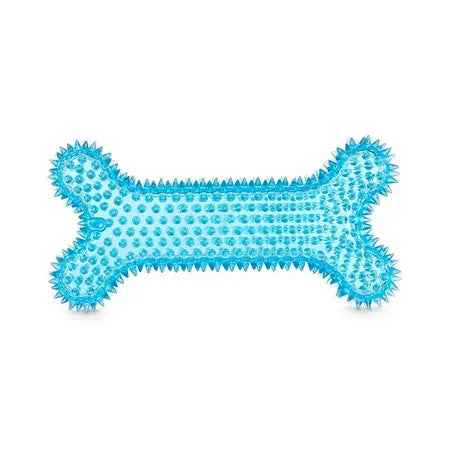 All Day Spiny Bone With Squeaker Dog Toy Assorted