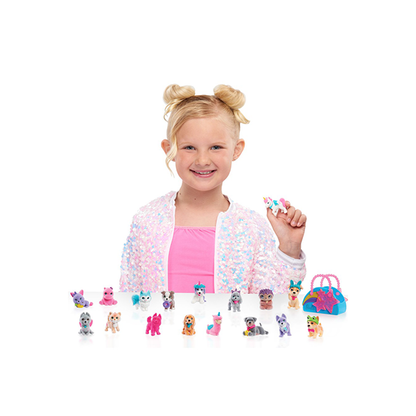 Barbie Blind Carrier 2 Pack - Assorted*