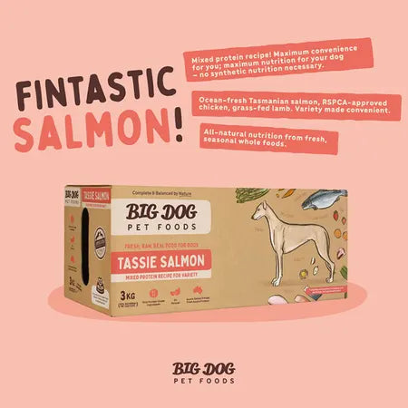 Big Dog Barf Tas Salmon Dog Patties 3kg