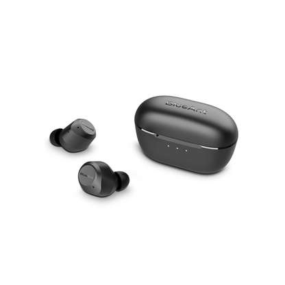 BlueAnt Pump Air Pro ANC True Wireless Headphones (Black)