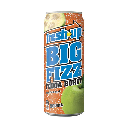 Fresh Up Big Fizz Feijoa Burst | 500mL