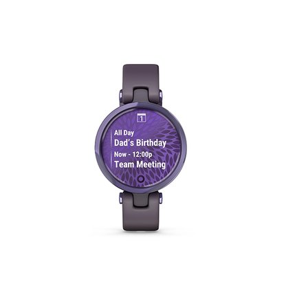 Garmin Lily Sport Smart Watch (Midnight Orchid/Deep Orchid)