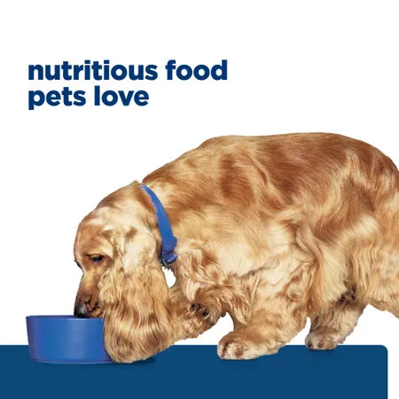 Hill's Prescription Diet Z/D Skin/Food Sens Adult Dog Food