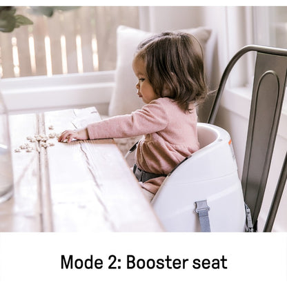 Ingenuity Baby Base 2-in-1 Seat - Slate