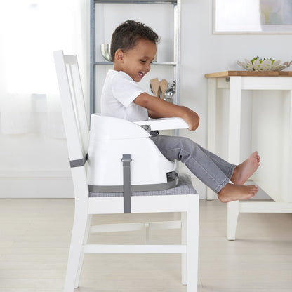 Ingenuity Baby Base 2-in-1 Seat - Slate