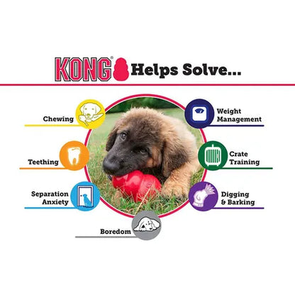 KONG Puppy Toy Assorted M x 2