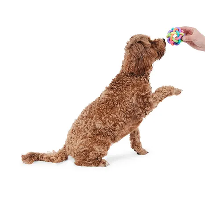 Mix Or Match 12 Rainbow Ball Dog Toy 8cm
